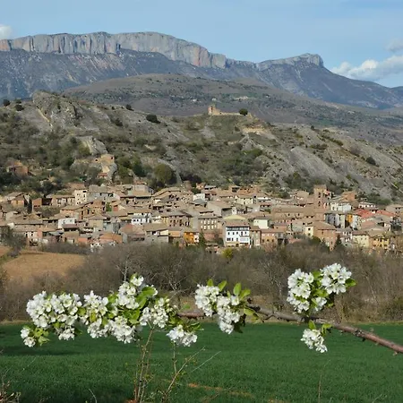 Turisticos Rocamora Aren